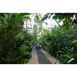 照片 法国(France) 尼斯(Nice) 凤凰公园(Phoenix Parc) 2007-10 24