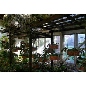 照片 法国(France) 尼斯(Nice) 凤凰公园(Phoenix Parc) 2007-10 113