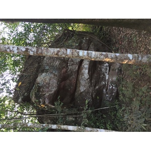 照片 泰国(Thailand) 普欣隆卡国家公园(Phu Hin Rong Kla National Park) 2014-12 417