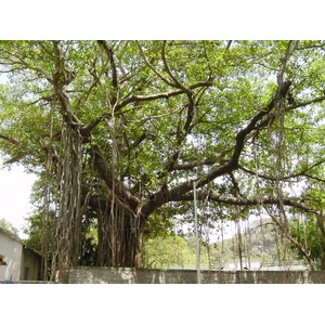照片 印度(India) 孟买(Mumbai) 2003-05 61