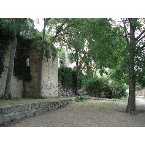 照片 法国(France) 索米耶尔(Sommieres) 2006-06 62