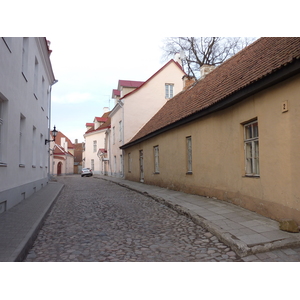 照片 爱沙尼亚(Estonia) 塔林(Tallinn) 塔林老城(Old Tallinn) 2009-04 79