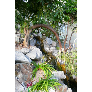 照片 法国(France) 尼斯(Nice) 凤凰公园(Phoenix Parc) 2007-10 22