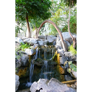 照片 法国(France) 尼斯(Nice) 凤凰公园(Phoenix Parc) 2007-10 98