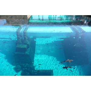照片 阿联酋(United Arab Emirates) 迪拜(Dubai) 迪拜水世界(Dubai Aquaventure) 2009-01 28