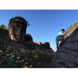 照片 泰国(Thailand) 普欣隆卡国家公园(Phu Hin Rong Kla National Park) 2014-12 410