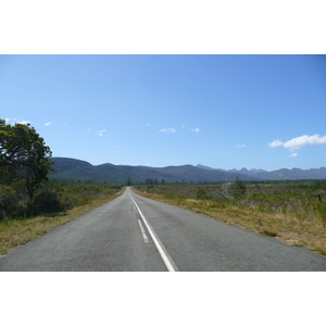 照片 南非(South Africa) 自然谷(Nature's Valley) 2008-09 33