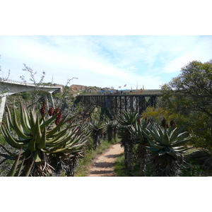 照片 南非(South Africa) 赫曼努斯至克尼斯纳公路(Harmanus to Knysna road) 2008-09 41