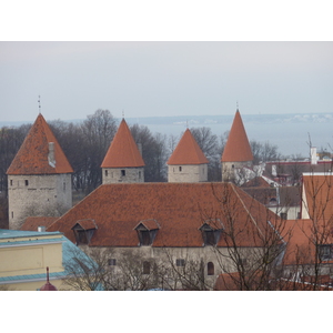 照片 爱沙尼亚(Estonia) 塔林(Tallinn) 塔林老城(Old Tallinn) 2009-04 60