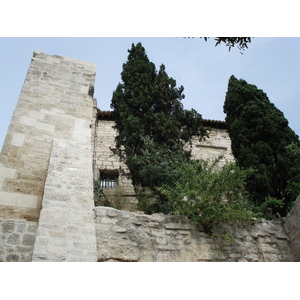 照片 法国(France) 索米耶尔(Sommieres) 2006-06 48