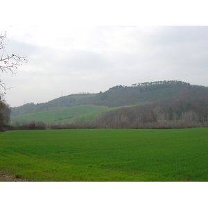 照片 意大利(Italy) 蒙泰里焦尼(Monteriggioni) 2004-03 12