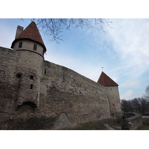 照片 爱沙尼亚(Estonia) 塔林(Tallinn) 塔林老城(Old Tallinn) 2009-04 7