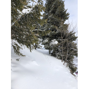 照片 法国(France) 阿尔利河畔普拉(Praz sur Arly) 2019-12 406