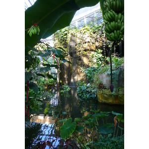 照片 法国(France) 尼斯(Nice) 凤凰公园(Phoenix Parc) 2007-10 28
