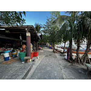 照片 泰国(Thailand) 大皮皮岛(Ko Phi Phi Don) 2021-12 186