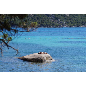 照片 法国(France) 科西嘉岛(Corsica) 圣朱莉亚海滩(Santa Giulia Beach) 2017-07 19