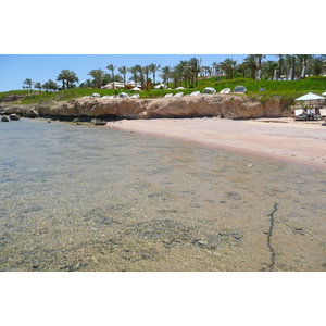 照片 埃及(Egypt) 沙姆沙伊赫(Sharm el Sheikh) 四季酒店(Four Seasons Hotel) 四季酒店海滩(Four Seasons Beach) 2008-06 38