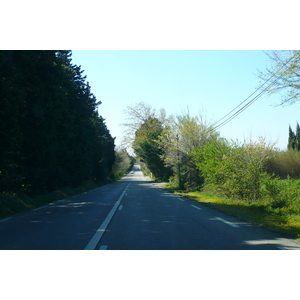 照片 法国(France) 普罗旺斯(Provence) 艾克斯至穆里耶公路(Aix to Mouries road) 2008-04 3