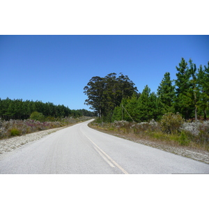 照片 南非(South Africa) 克尼斯纳至伊丽莎白港公路(Knysna to Port Elizabeth road) 2008-09 24
