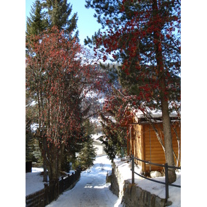照片 瑞士(Switzerland) 蓬特雷西纳(Pontresina) 2007-01 134