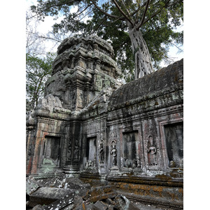 照片 柬埔寨(Cambodia) 暹粒(Siem Reap) 塔布茏寺(Ta Prohm) 2023-01 153