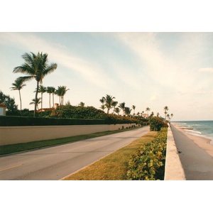 照片 美国(United States) 棕榈滩(Palm Beach) 1991-11 0