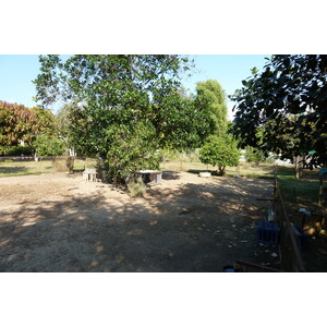 照片 泰国(Thailand) 清迈(Chiang Mai) 湄沙蛇园(Mae Sa Snake Farm) 2010-12 0