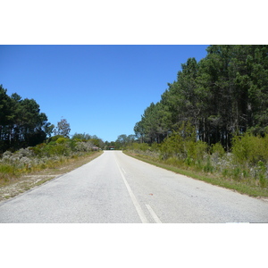 照片 南非(South Africa) 克尼斯纳至伊丽莎白港公路(Knysna to Port Elizabeth road) 2008-09 16