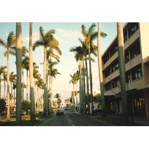 照片 美国(United States) 迈阿密海滩(Miami Beach) 1991-11 24