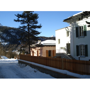 照片 瑞士(Switzerland) 蓬特雷西纳(Pontresina) 2007-01 153