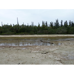 照片 新喀里多尼亚(New Caledonia) 松树岛(Ile des pins) 奥罗湾(Oro Bay) 2010-05 38