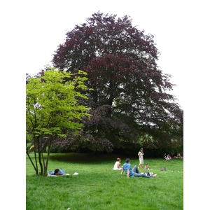 照片 法国(France) 巴黎(Paris) 蒙索公园(Monceau Garden) 2007-06 3