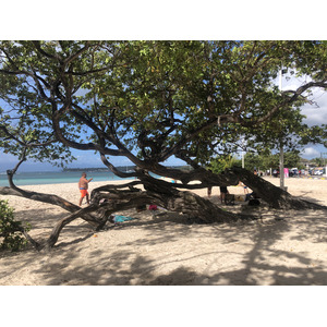 照片 瓜德罗普(Guadeloupe) 圣安妮(Sainte Anne) 2021-02 115