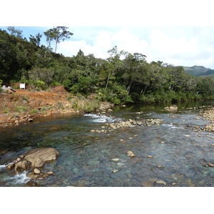 照片 新喀里多尼亚(New Caledonia) 蓝河公园(Parc de la Riviere Bleue) 2010-05 145