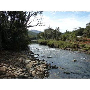 照片 新喀里多尼亚(New Caledonia) 蓝河公园(Parc de la Riviere Bleue) 2010-05 152