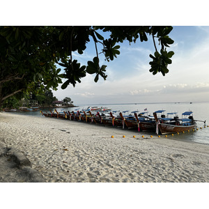 照片 泰国(Thailand) 大皮皮岛(Ko Phi Phi Don) 2021-12 139
