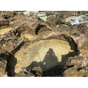 照片 瓜德罗普(Guadeloupe) 城堡角(Castle Point) 2021-02 159