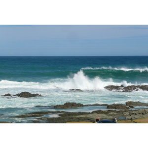 照片 南非(South Africa) 齐齐卡马国家公园(Tsitsikamma National Park) 2008-09 423