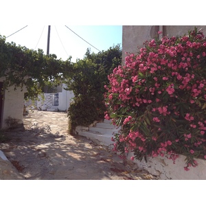 照片 希腊(Greece) 阿莫尔戈斯岛(Amorgos) 2014-07 344
