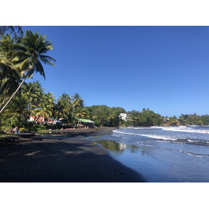 照片 瓜德罗普(Guadeloupe) 巴纳尼耶(Bananier) 2021-02 13