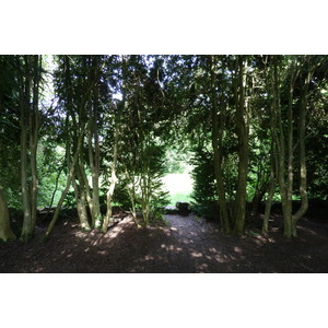 照片 英国(United Kingdom) 苏格兰(Scotland) 英奇马霍姆修道院(Inchmahome Priory) 2011-07 7