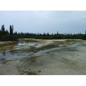 照片 新喀里多尼亚(New Caledonia) 松树岛(Ile des pins) 奥罗湾(Oro Bay) 2010-05 83