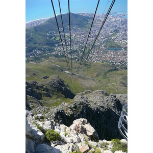 照片 南非(South Africa) 开普敦(Cape Town) 桌山(Table Mountain) 2008-09 62