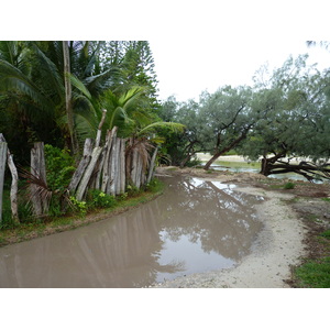 照片 新喀里多尼亚(New Caledonia) 松树岛(Ile des pins) 奥罗湾(Oro Bay) 2010-05 95