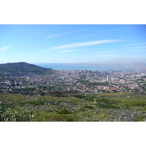照片 南非(South Africa) 开普敦(Cape Town) 桌山(Table Mountain) 2008-09 75