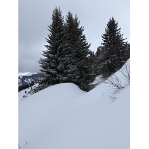 照片 法国(France) 阿尔利河畔普拉(Praz sur Arly) 2025-02 79