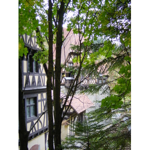 照片 罗马尼亚(Romania) 锡纳亚(Sinaia) 2003-10 61