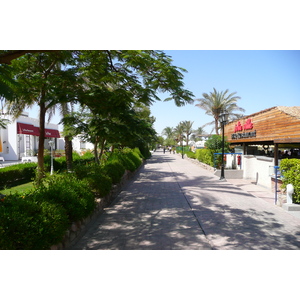 照片 埃及(Egypt) 沙姆沙伊赫(Sharm el Sheikh) 2008-06 2