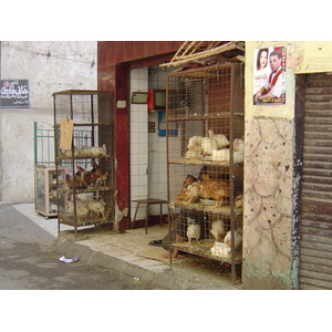 照片 埃及(Egypt) 开罗(Cairo) 2004-09 25