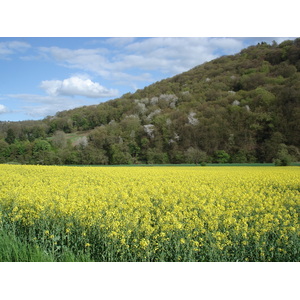 照片 英国(United Kingdom) 瓦伊河谷(Wye Valley) 2006-05 47